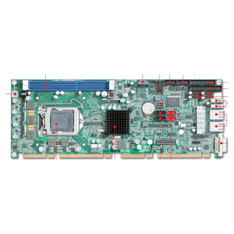 ROBO-8110VG2AR-Q67 PICMG 1.3 Systems Host Board